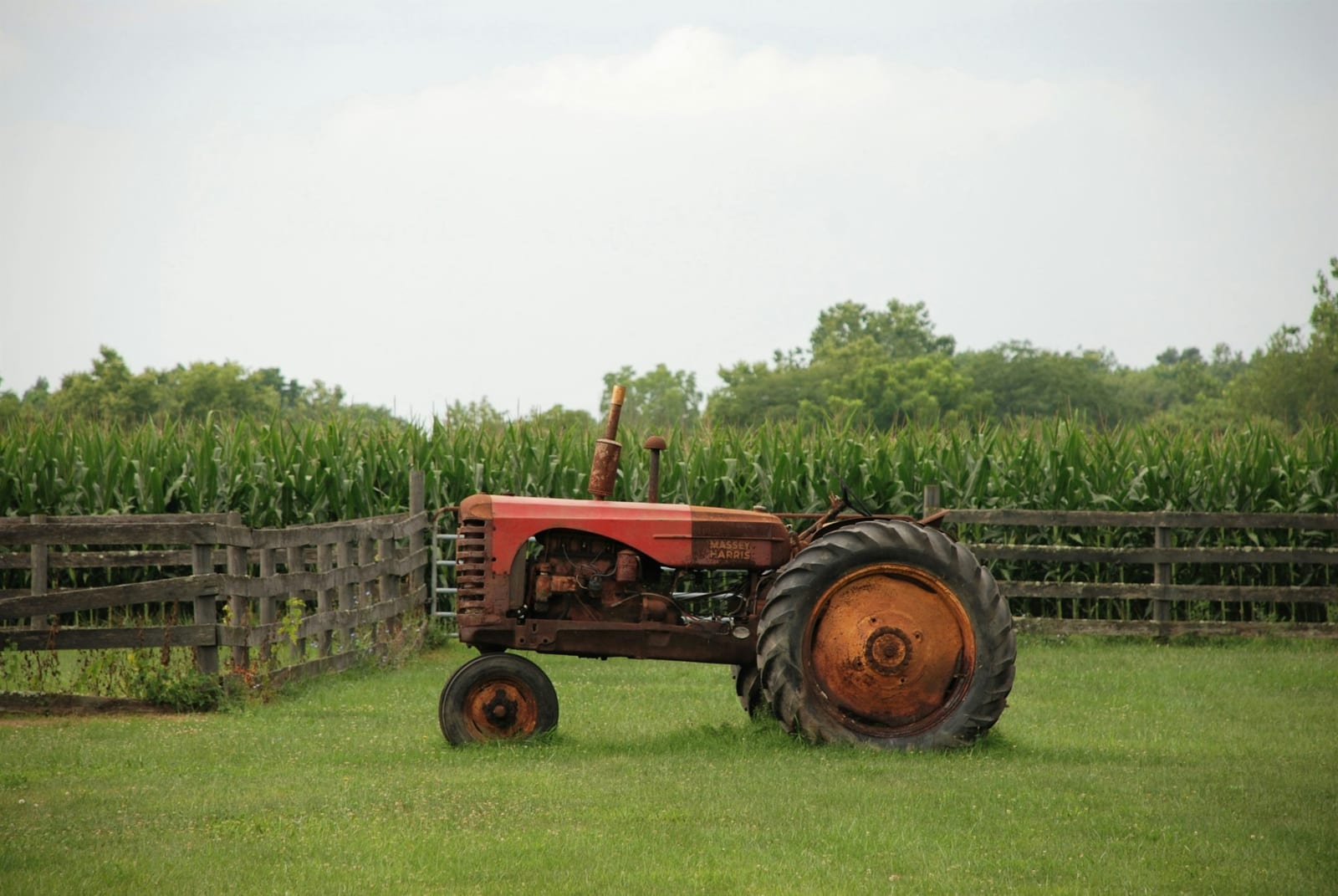 Un tractor rojo y viejo frente a un maizal, con una cerca de madera, en un día nublado.