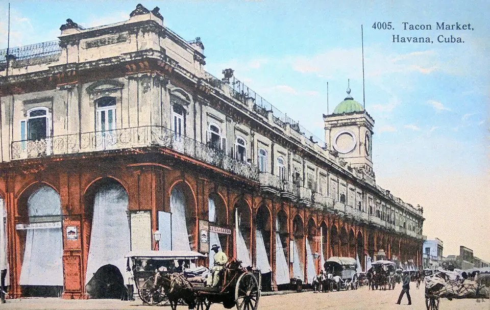 Havana tacon market